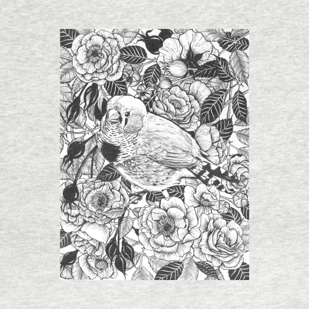 Zebra finch and rose bush ink drawing by katerinamk